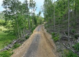 686.10 Acres Thorn Bottom Road, Wardensville, WV 26851