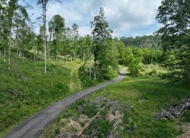 686.10 Acres Thorn Bottom Road, Wardensville, WV 26851