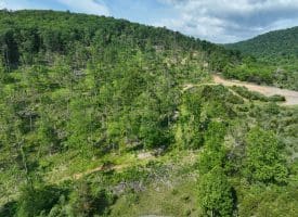 686.10 Acres Thorn Bottom Road, Wardensville, WV 26851