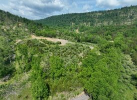 686.10 Acres Thorn Bottom Road, Wardensville, WV 26851