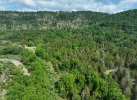 686.10 Acres Thorn Bottom Road, Wardensville, WV 26851