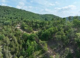 686.10 Acres Thorn Bottom Road, Wardensville, WV 26851