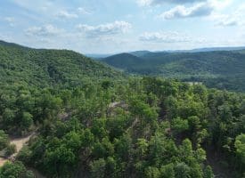 686.10 Acres Thorn Bottom Road, Wardensville, WV 26851