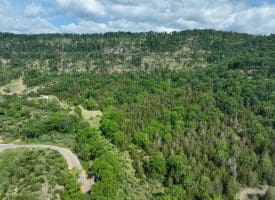 686.10 Acres Thorn Bottom Road, Wardensville, WV 26851