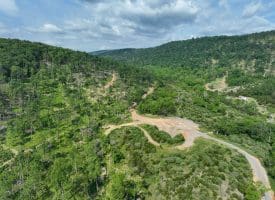 686.10 Acres Thorn Bottom Road, Wardensville, WV 26851