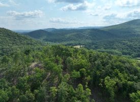 686.10 Acres Thorn Bottom Road, Wardensville, WV 26851