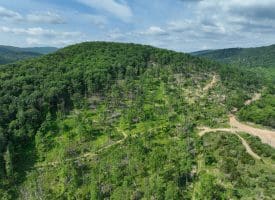686.10 Acres Thorn Bottom Road, Wardensville, WV 26851