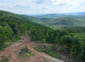 686.10 Acres Thorn Bottom Road, Wardensville, WV 26851