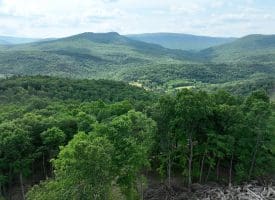 686.10 Acres Thorn Bottom Road, Wardensville, WV 26851