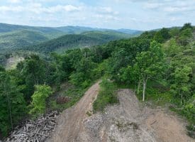686.10 Acres Thorn Bottom Road, Wardensville, WV 26851