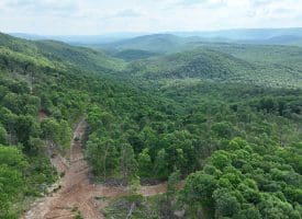 686.10 Acres Thorn Bottom Road, Wardensville, WV 26851