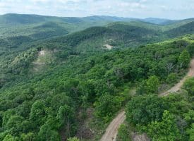 686.10 Acres Thorn Bottom Road, Wardensville, WV 26851