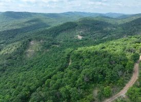 686.10 Acres Thorn Bottom Road, Wardensville, WV 26851