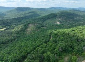 686.10 Acres Thorn Bottom Road, Wardensville, WV 26851
