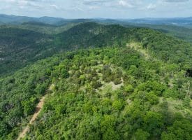 686.10 Acres Thorn Bottom Road, Wardensville, WV 26851