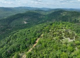 686.10 Acres Thorn Bottom Road, Wardensville, WV 26851