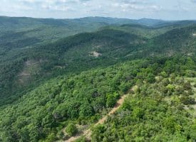 686.10 Acres Thorn Bottom Road, Wardensville, WV 26851