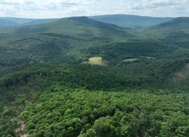 686.10 Acres Thorn Bottom Road, Wardensville, WV 26851