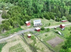 686.10 Acres Thorn Bottom Road, Wardensville, WV 26851