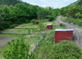 686.10 Acres Thorn Bottom Road, Wardensville, WV 26851