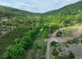 686.10 Acres Thorn Bottom Road, Wardensville, WV 26851