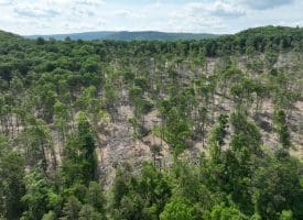 686.10 Acres Thorn Bottom Road, Wardensville, WV 26851