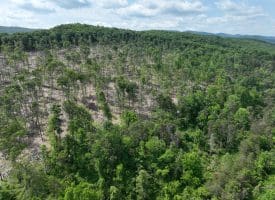 686.10 Acres Thorn Bottom Road, Wardensville, WV 26851