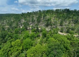 686.10 Acres Thorn Bottom Road, Wardensville, WV 26851