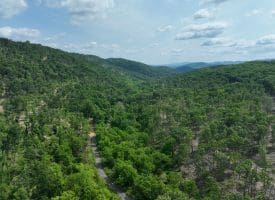 686.10 Acres Thorn Bottom Road, Wardensville, WV 26851