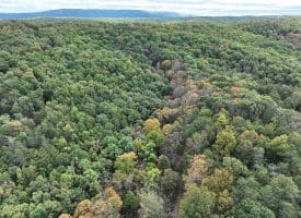 49.76 Acres Dans Run Road, Springfield, WV 26763