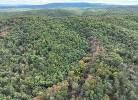 49.76 Acres Dans Run Road, Springfield, WV 26763