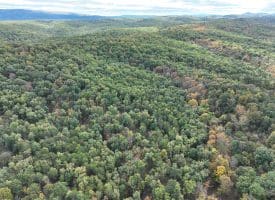 49.76 Acres Dans Run Road, Springfield, WV 26763
