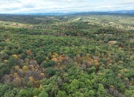 49.76 Acres Dans Run Road, Springfield, WV 26763