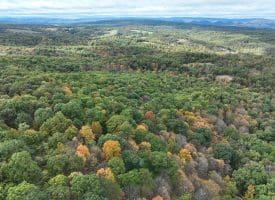 49.76 Acres Dans Run Road, Springfield, WV 26763