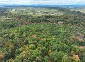 49.76 Acres Dans Run Road, Springfield, WV 26763