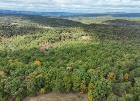 49.76 Acres Dans Run Road, Springfield, WV 26763