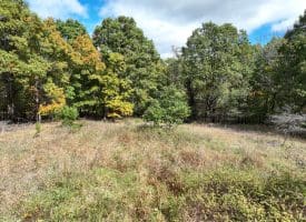 49.76 Acres Dans Run Road, Springfield, WV 26763