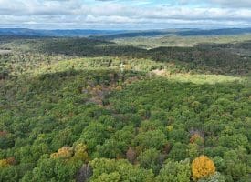 49.76 Acres Dans Run Road, Springfield, WV 26763