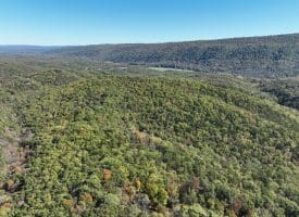 68.79 Ac Harness Run Road, Burlington, WV 26710