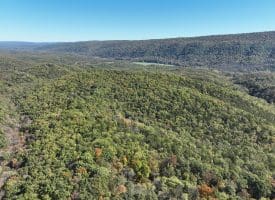 68.79 Ac Harness Run Road, Burlington, WV 26710