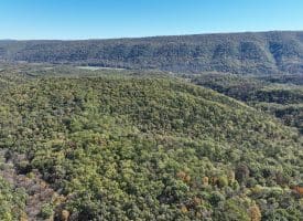 68.79 Ac Harness Run Road, Burlington, WV 26710