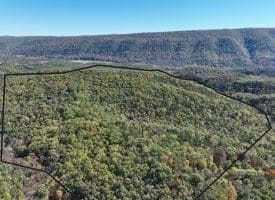 68.79 Ac Harness Run Road, Burlington, WV 26710