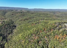 68.79 Ac Harness Run Road, Burlington, WV 26710