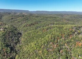 68.79 Ac Harness Run Road, Burlington, WV 26710