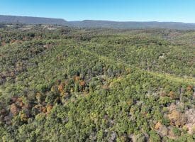 68.79 Ac Harness Run Road, Burlington, WV 26710